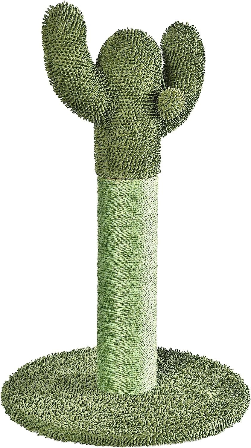 Poteau à griffer Amazon Basics cactus intérieur avec ballon suspendu pour jeux et griffes.