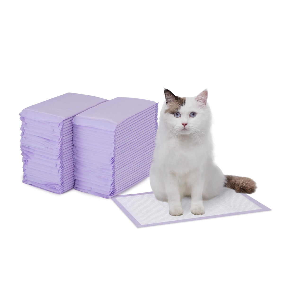 Amazon Basics recharges tapis litière senteur fraiche pour bac à litière, pratique et hygiénique.