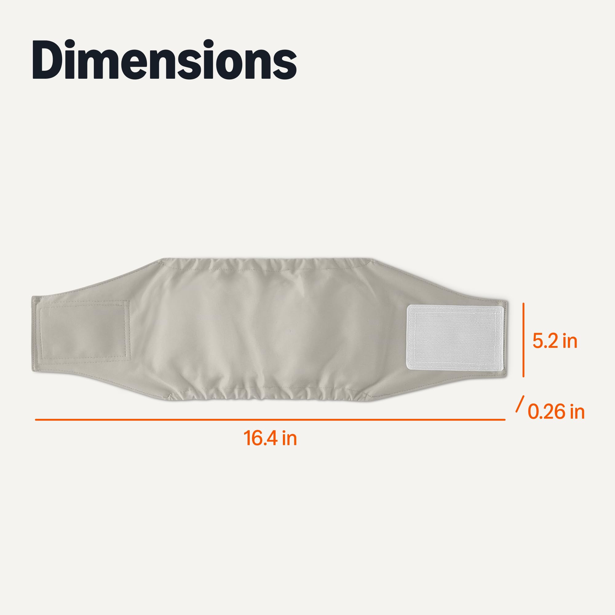 Amazon Basics couches-chien lavables idéales pour sorties nocturnes et besoins spéciaux.