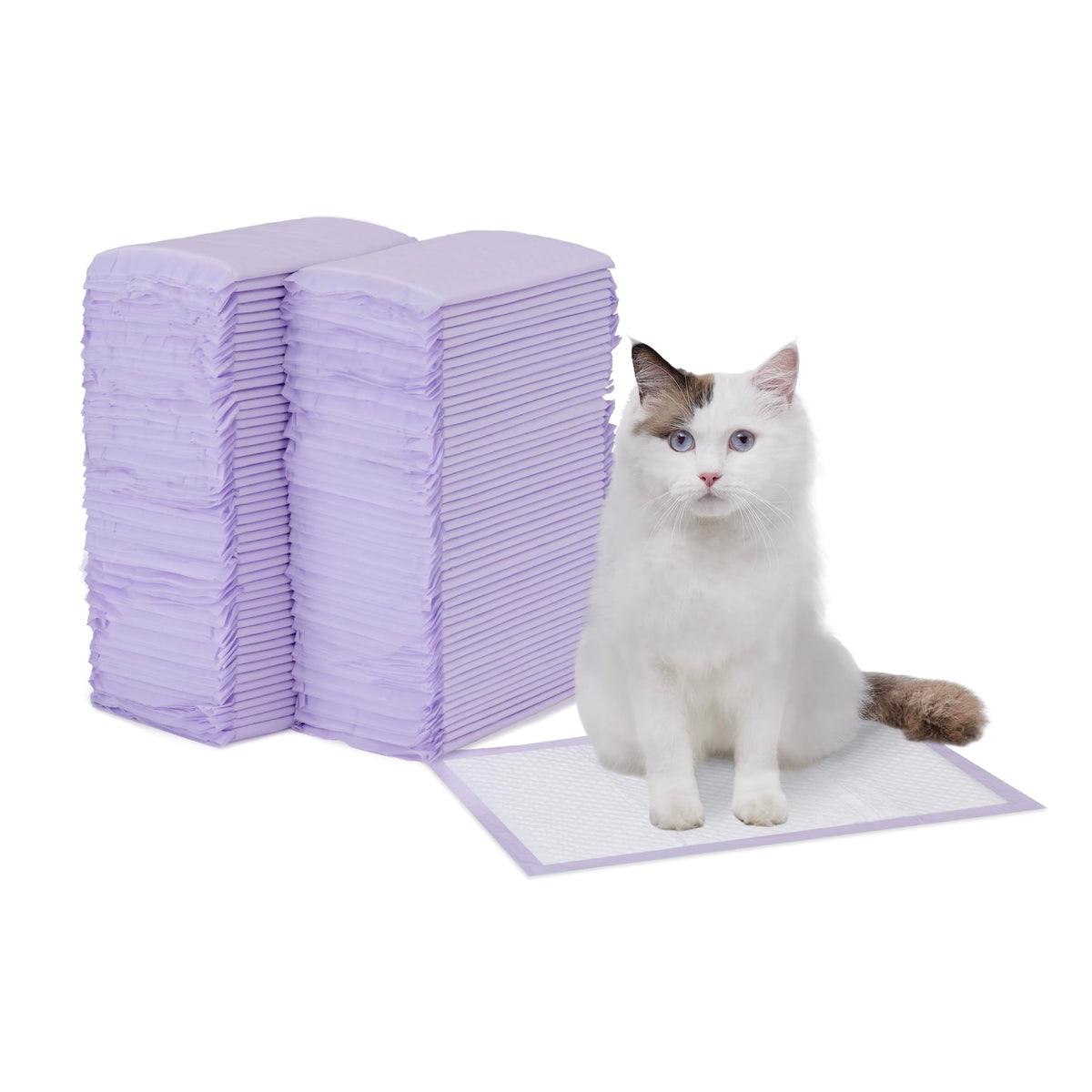Amazon Basics tampon-litiere-chat senteur fraiche et absorption elevate
