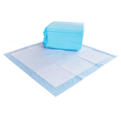 Tampons d'entraînement Amazon Basics pour chiots bleu et blanc avec surface sèche rapide.