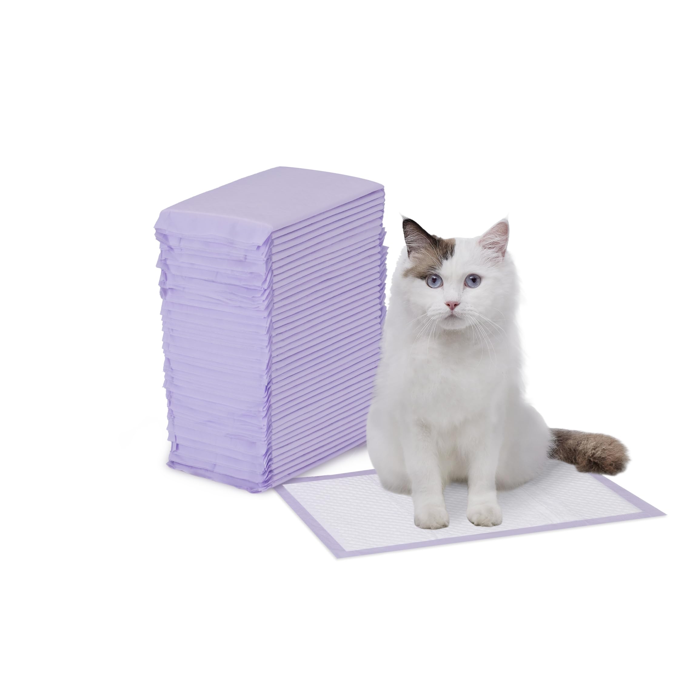 Amazon Basics tapis absorbant chat – noyau absorbant retient l'humidité rapidement.