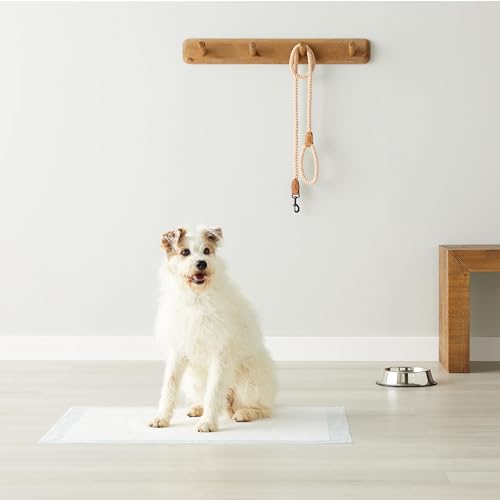 Tapis Amazon Basics XXL 28x34 pouces prêt à l’emploi, pratique déplacements