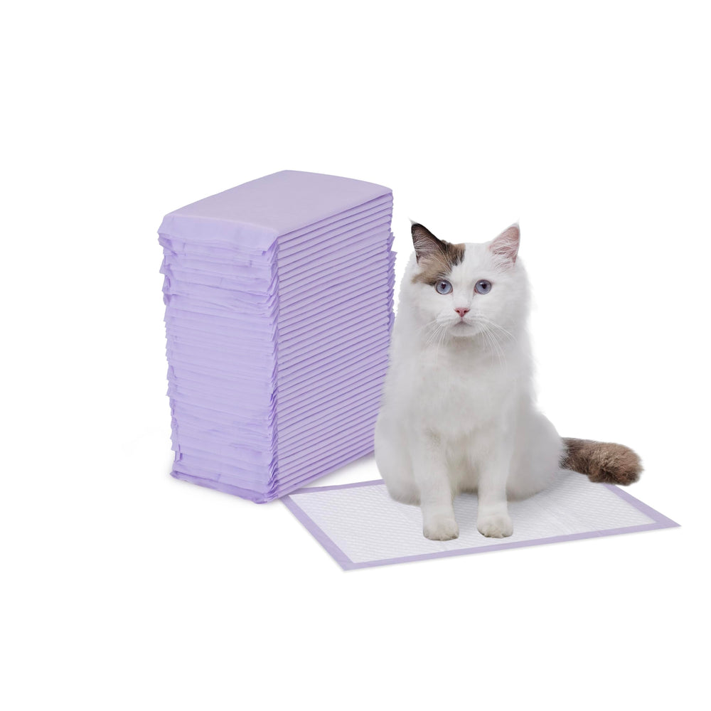 Amazon Basics tapis absorbants pour litière avec absorption rapide des liquides.