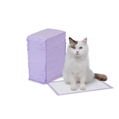 Amazon Basics tapis absorbants pour litière avec absorption rapide des liquides.