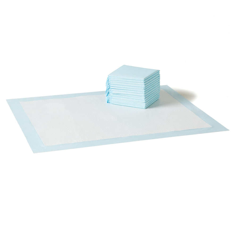 Amazon Basics XL tapis-dapprentissage ensemble 15-pack, idéal pour l'entraînement des chiots.