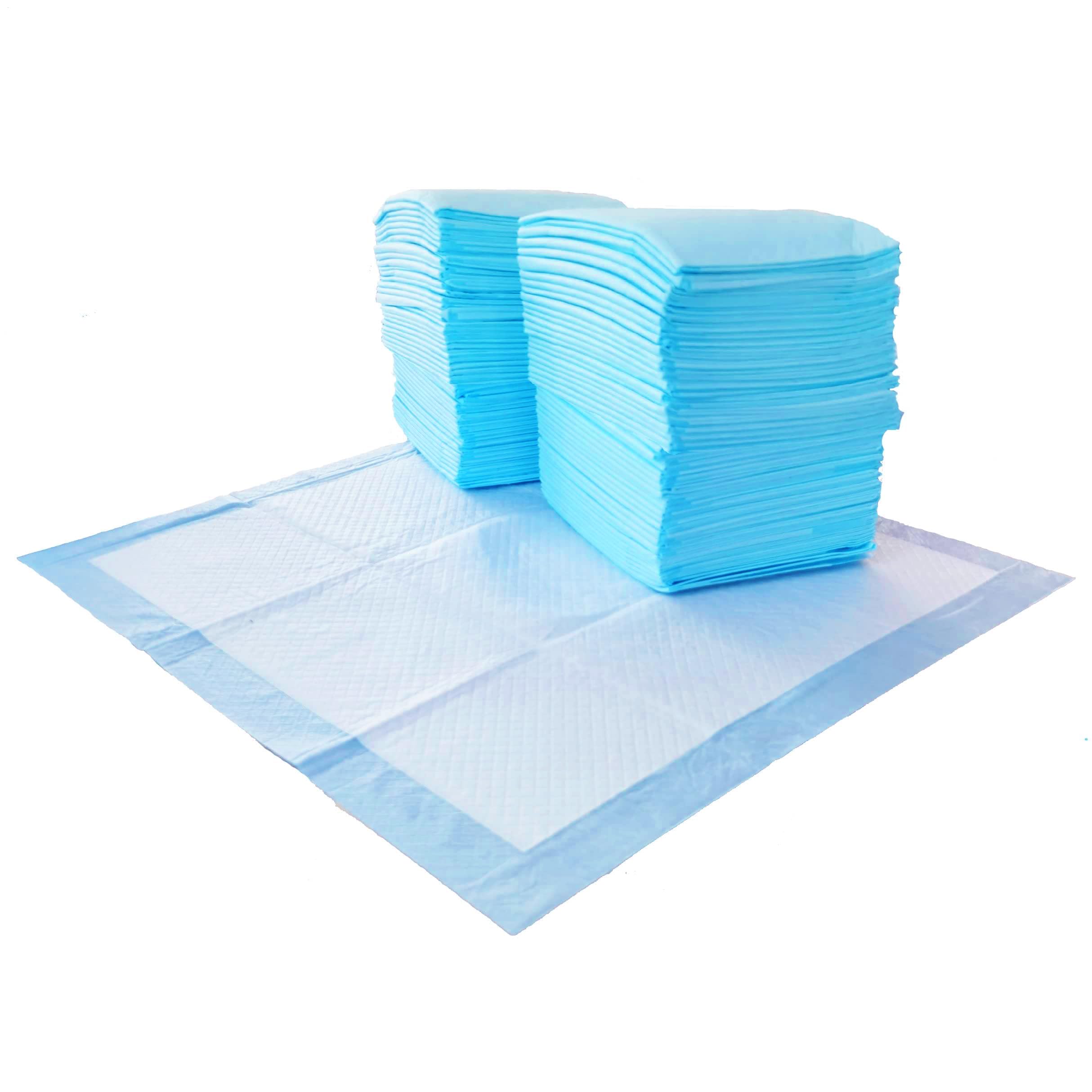 Amazon Basics Tapis d'entraînement chiots bleu, aide à l'apprentissage propre