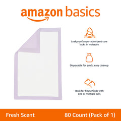 Noyau absorbant Amazon Basics pour retenir l'humidité.