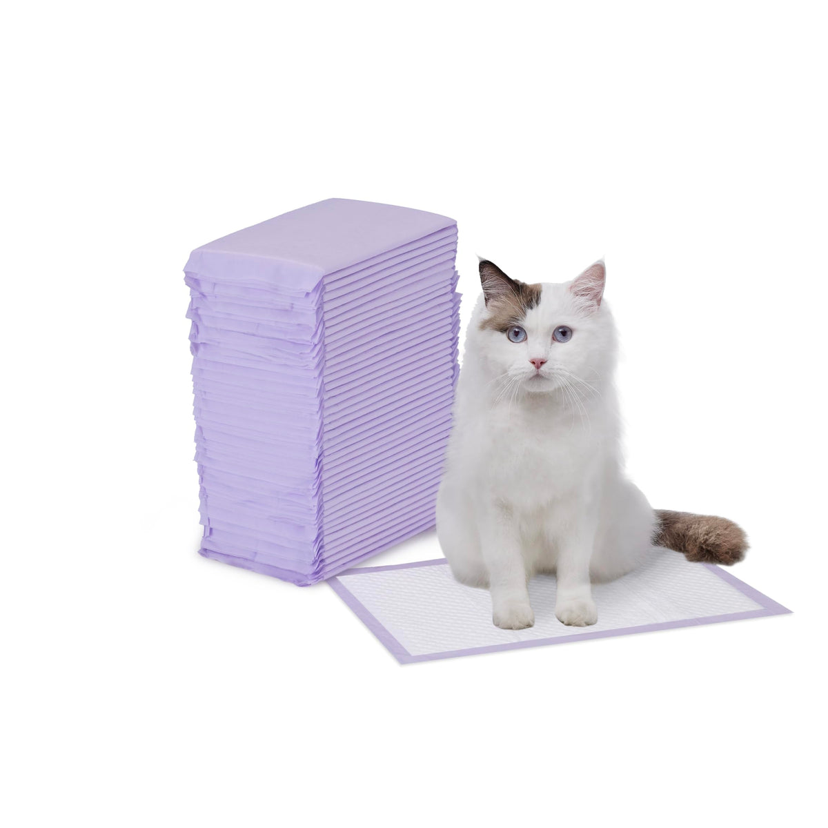 Amazon Basics tapis-litière chat — odeur frais pour une pièce agréable.