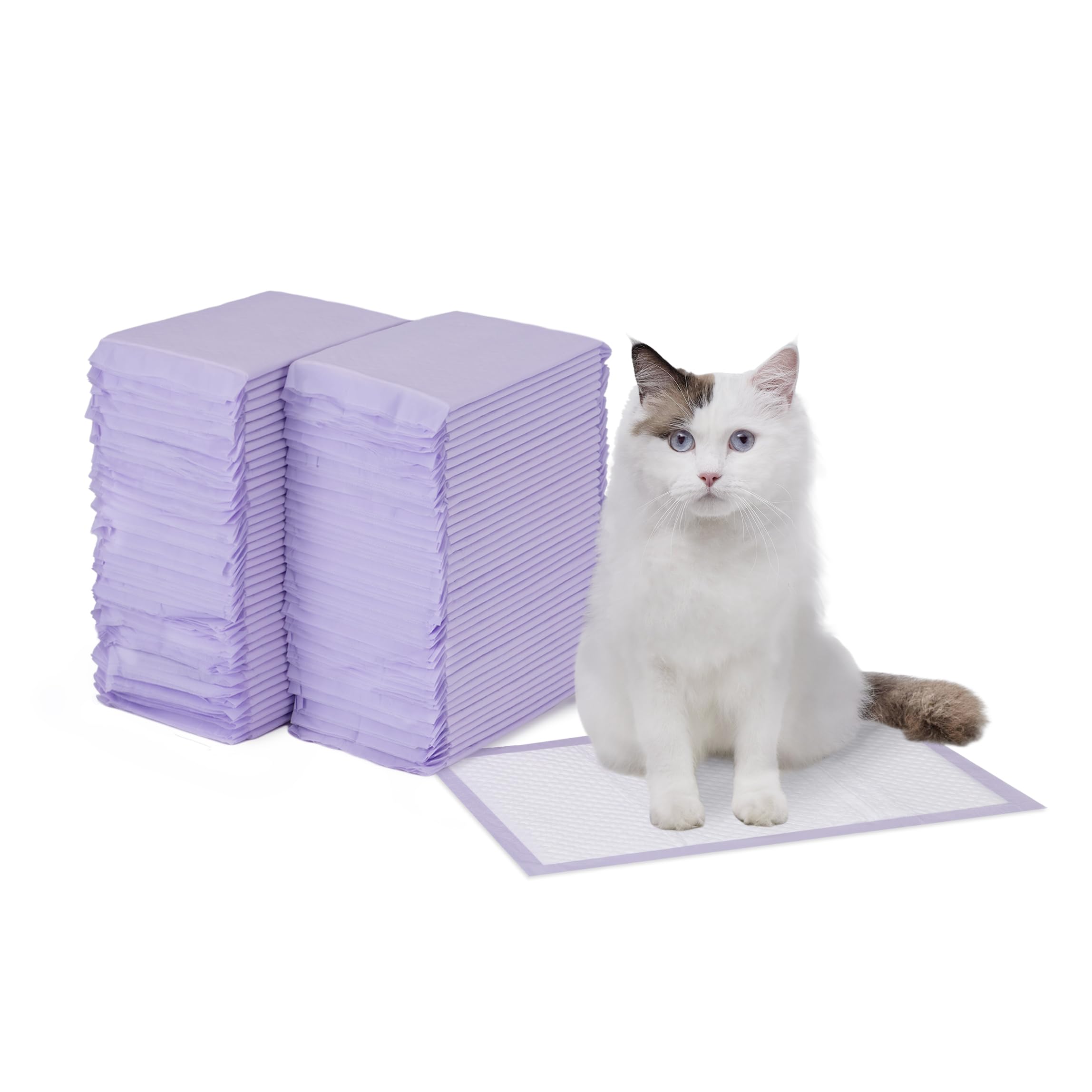 Amazon Basics tapis-litière chat au parfum citron pour 80 unités, fraîcheur durable.