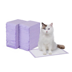Amazon Basics tapis-litière chat au parfum citron pour 80 unités, fraîcheur durable.