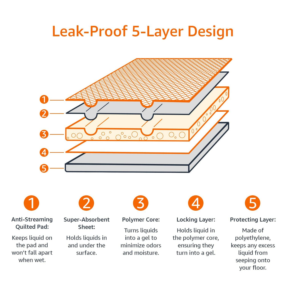 Vue du tapis-pipi Amazon Basics 22x22, dimensions généreuses pour chiots.