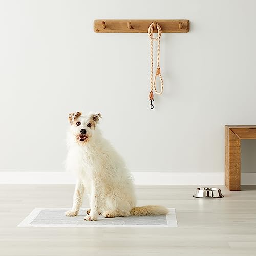 Tapis-pipi Amazon Basics 50 unités, pratique pour trajets.