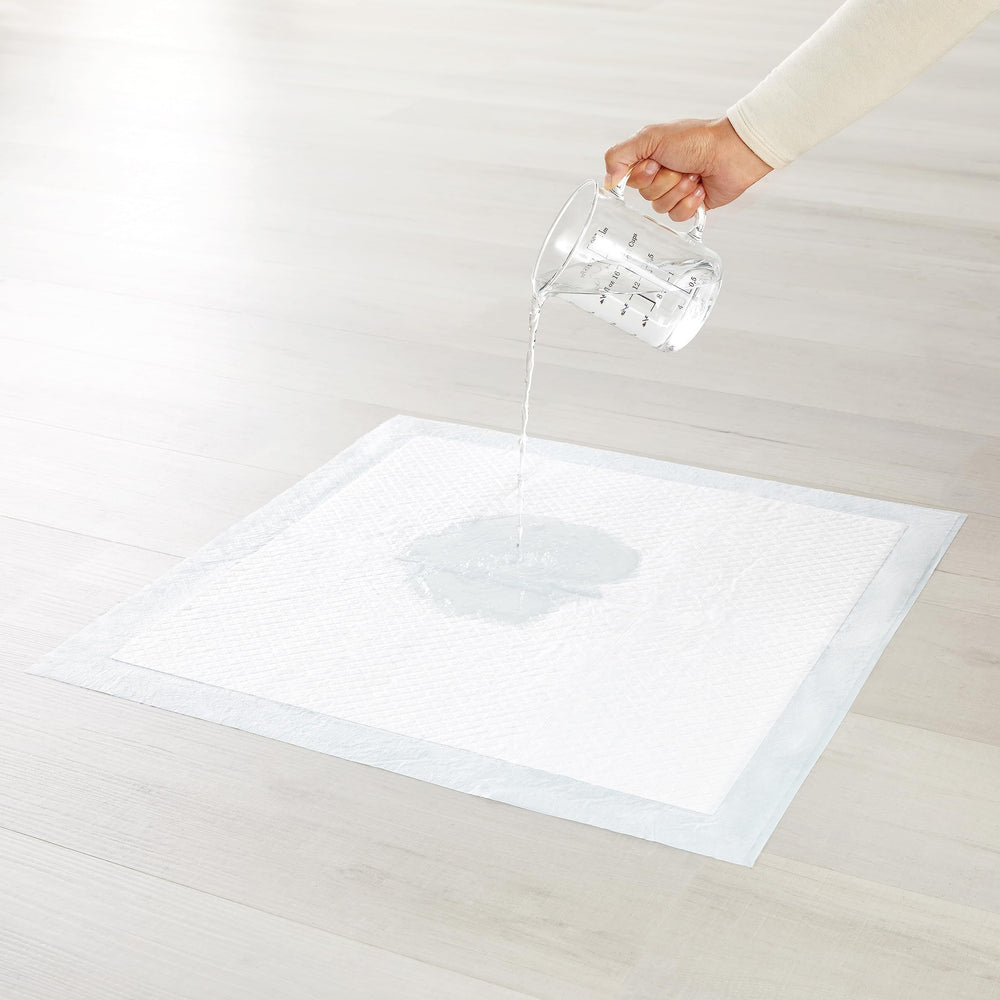 Attractant intégré sur les tapis-pipi Amazon Basics pour apprentissage
