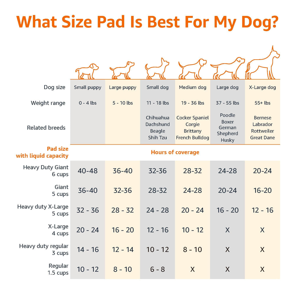 Amazon Basics tapis-pipi attractant intégré pour apprentissage propreté.