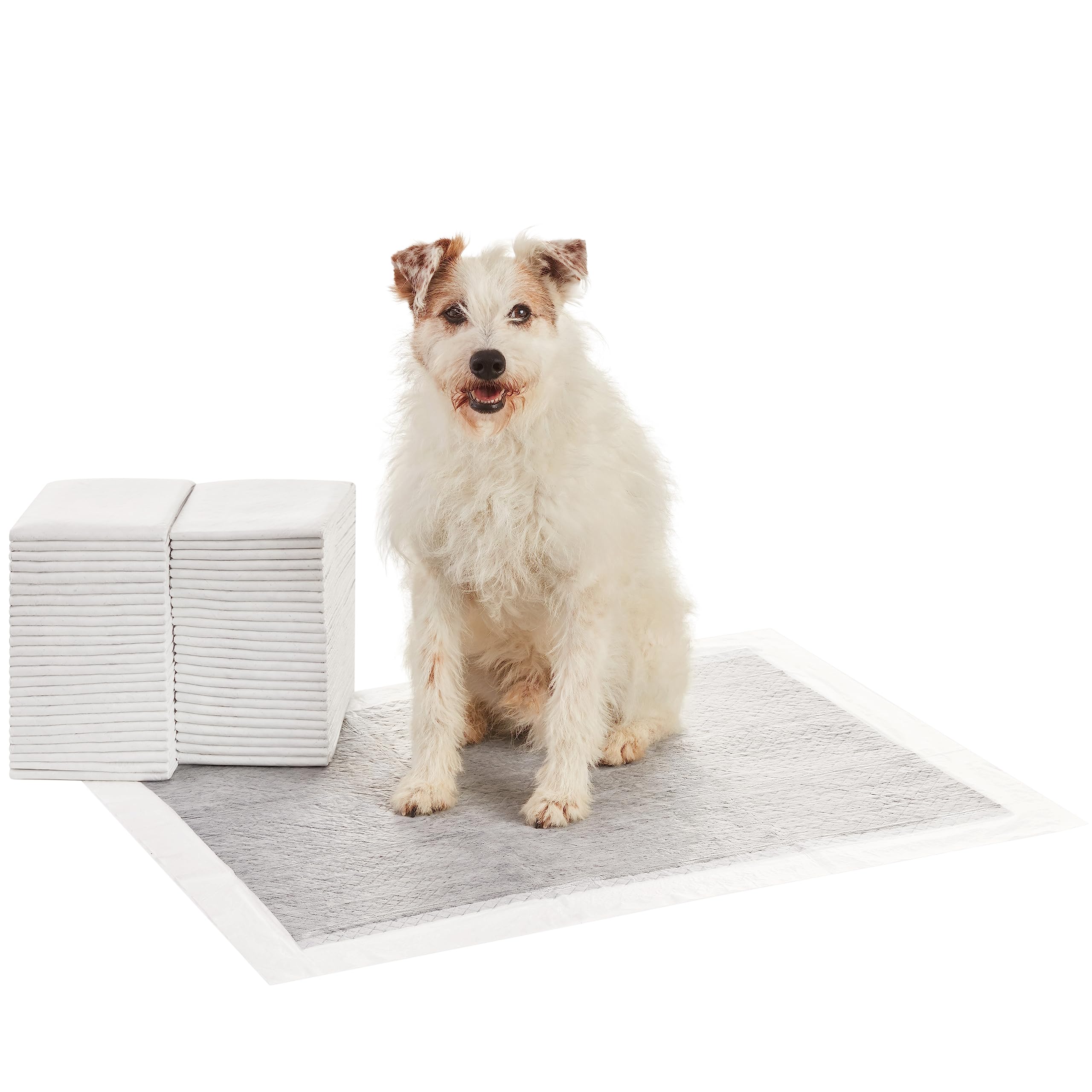 Tapis-pipi Amazon Basics chiot 5 couches, absorption efficace.