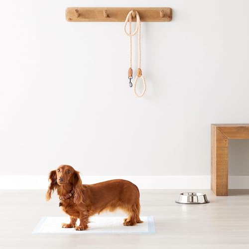 Tapis-pipi Amazon Basics livré en lot de 80 pièces pour l'entraînement répété.