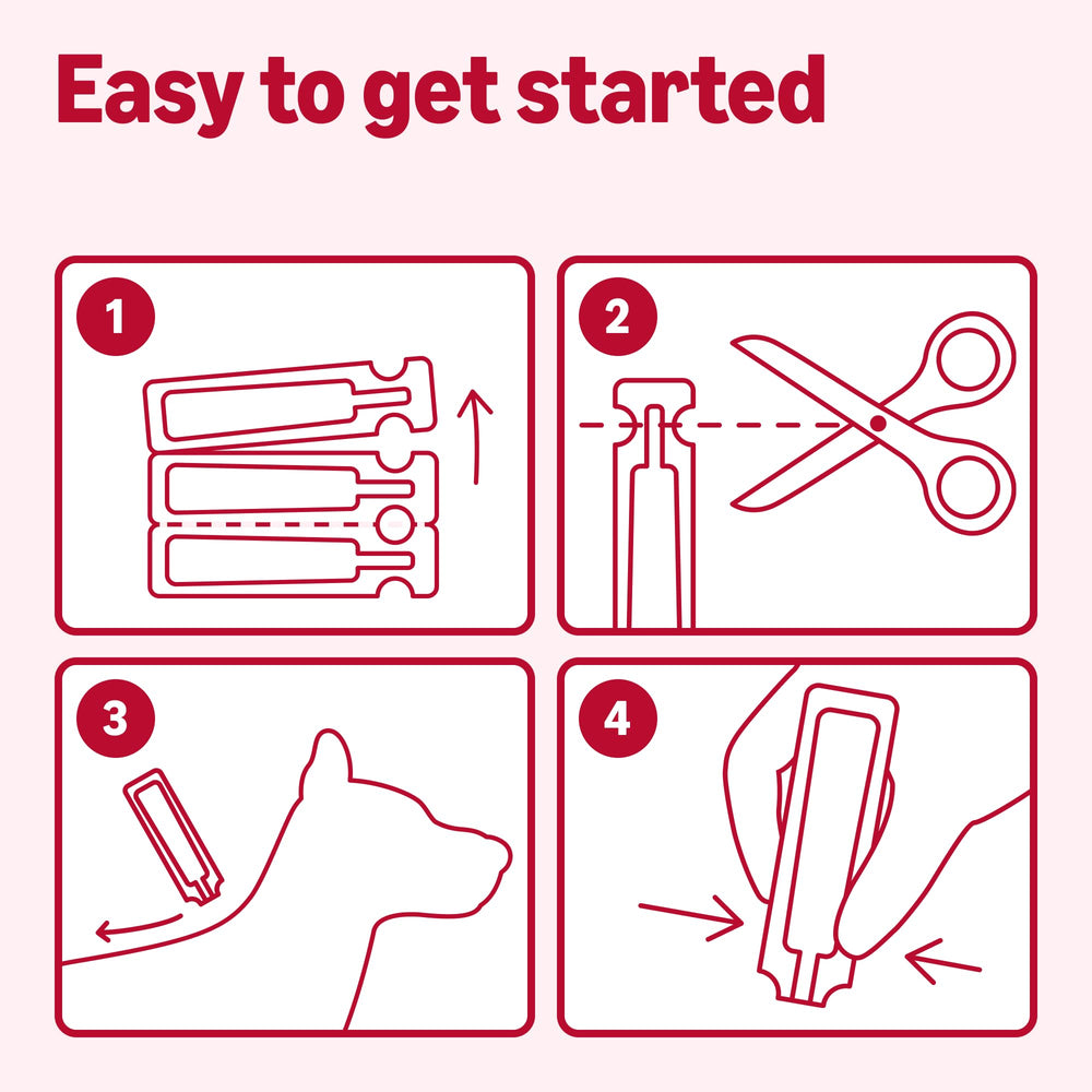 Protection de 30 jours par dose du traitement Amazon Basics.