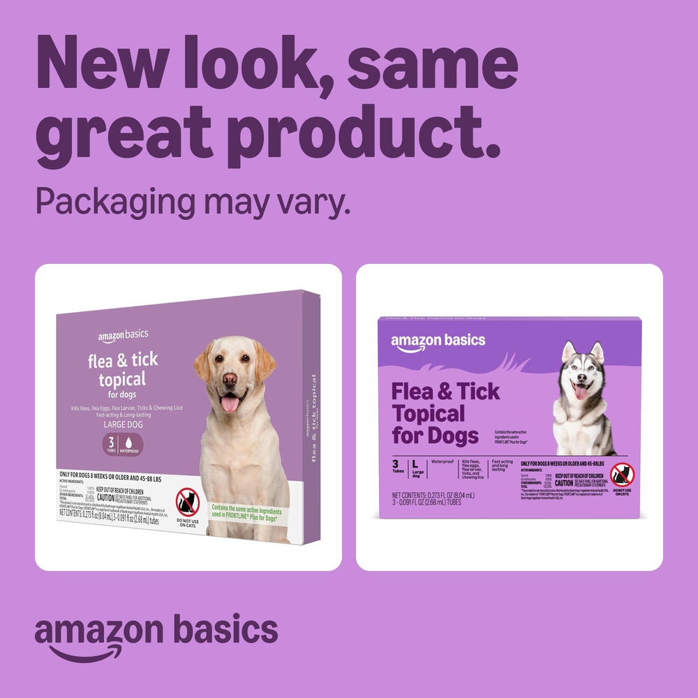 Amazon Basics traitement puces et tiques chien grand – après application, protection rapide