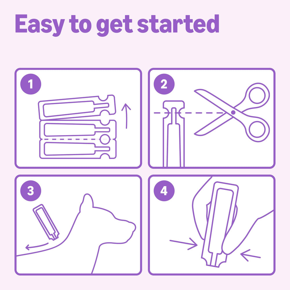 Étiquette Amazon Basics traitement puces et tiques chien grand – notice claire