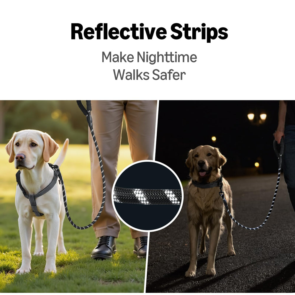 Utilisation polyvalente pour promenades et entraînement avec tous les chiens.