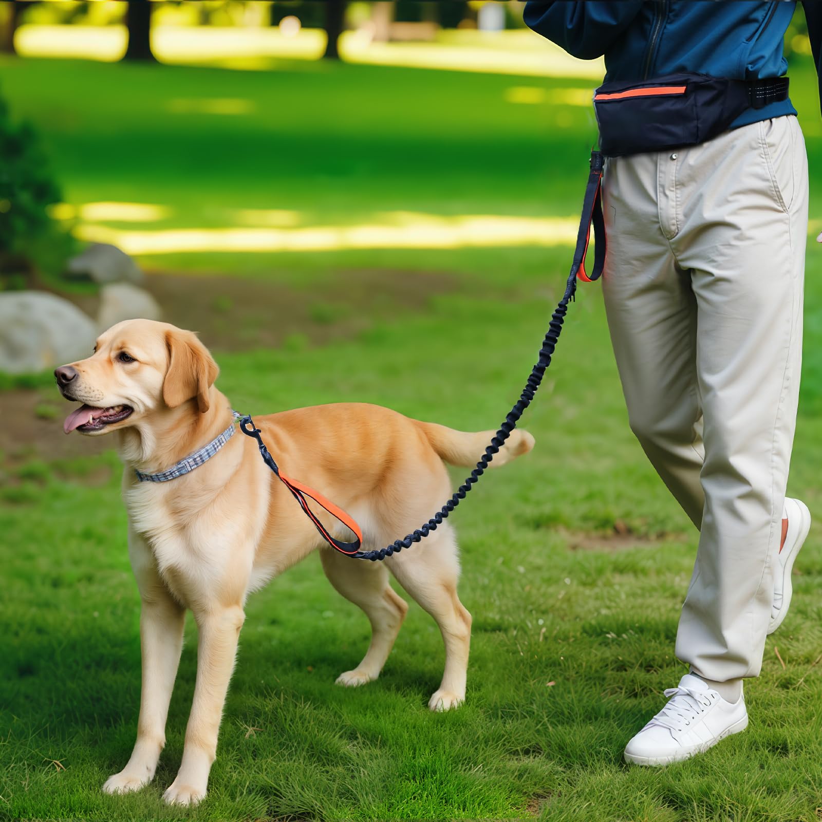 Amazon Basics Utilisation idéale pour promenades et joggings avec chien.