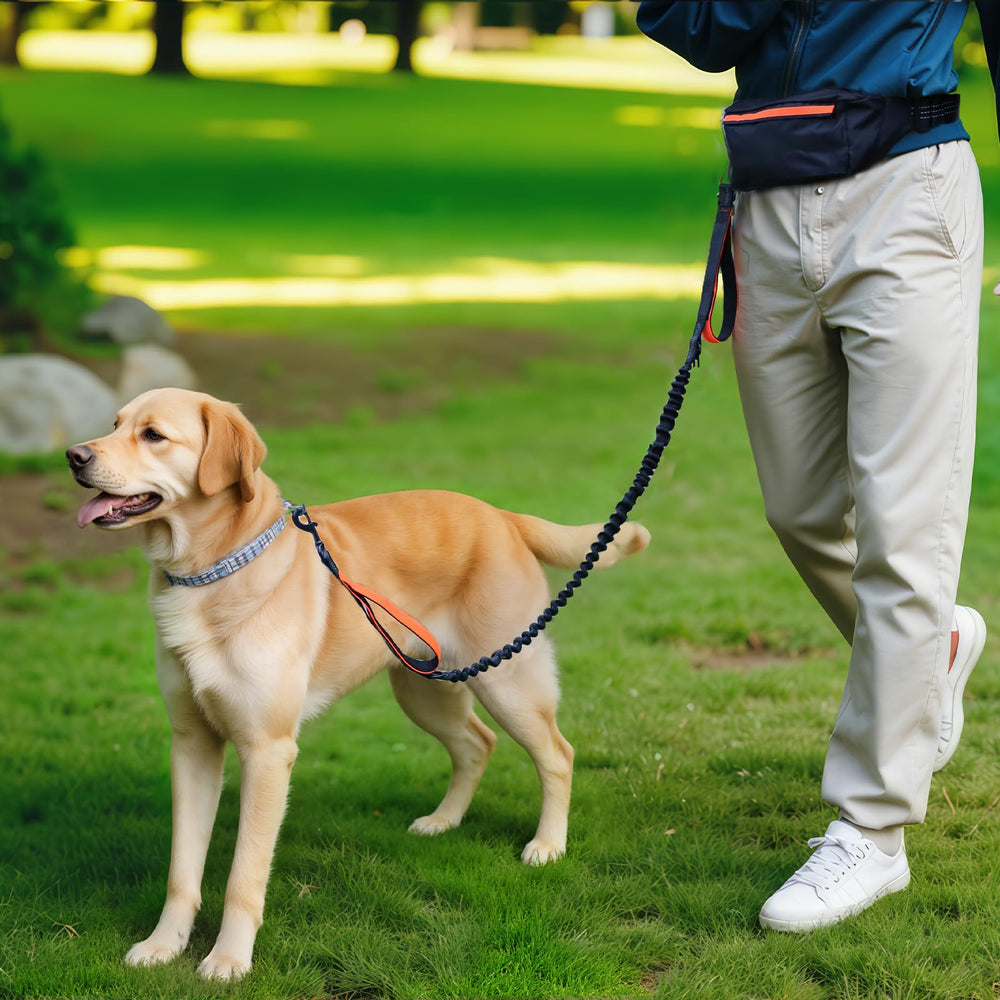 Amazon Basics Utilisation idéale pour promenades et joggings avec chien.
