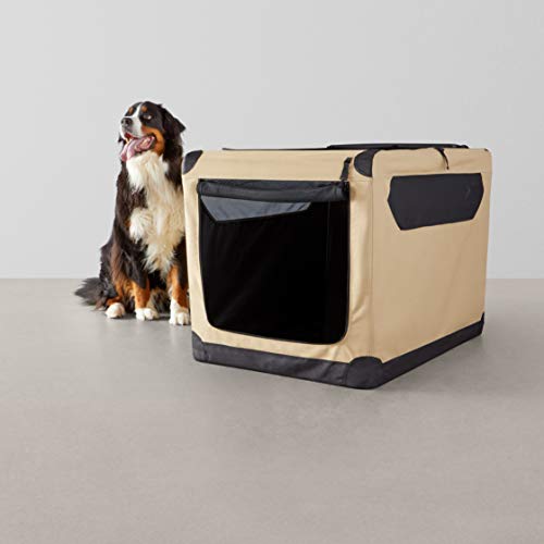 Usage voyage chien confortable et pratique lors des trajets avec Amazon Basics.