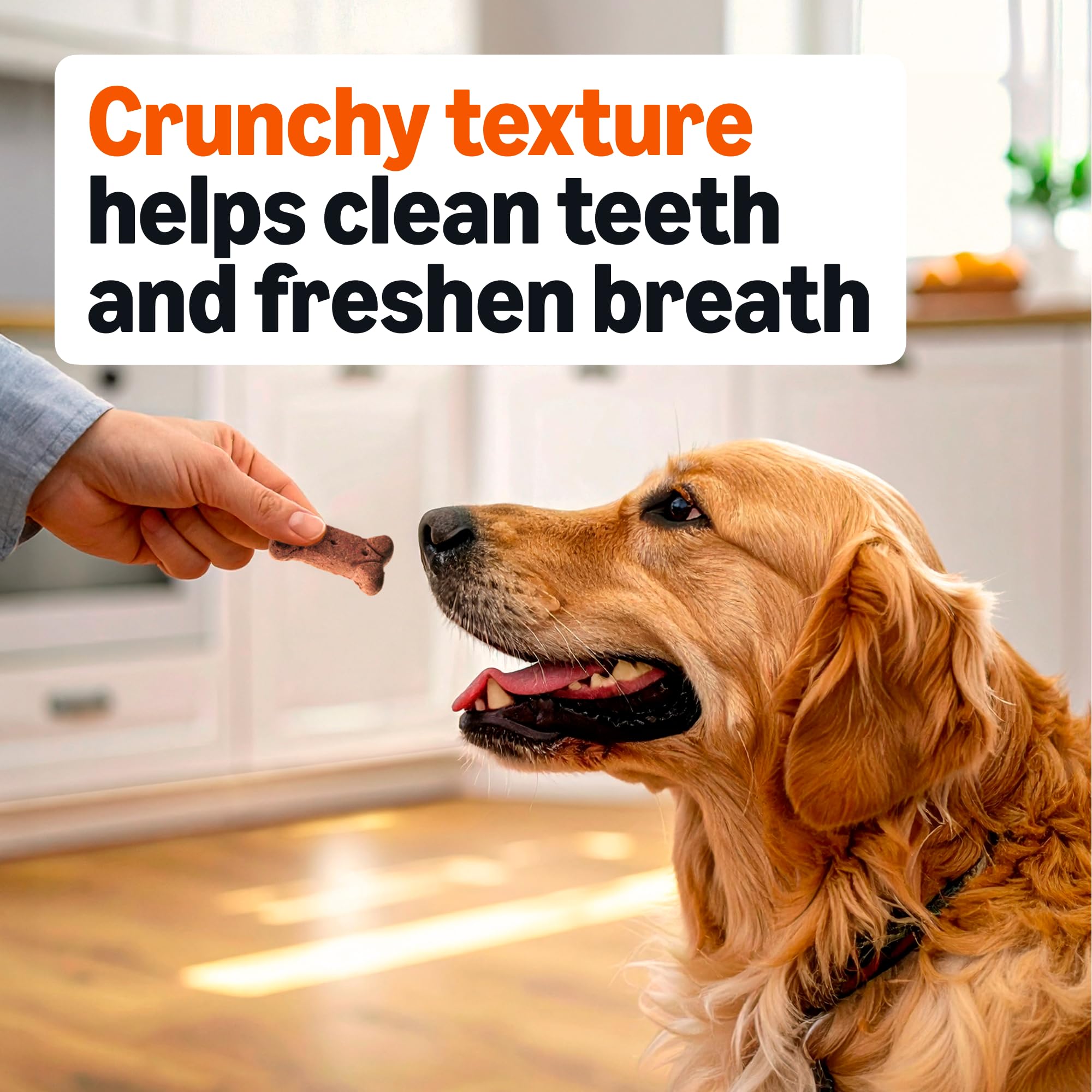 Amazon Basics biscuits chien quatre saveurs délicieuses pour varier les plaisirs