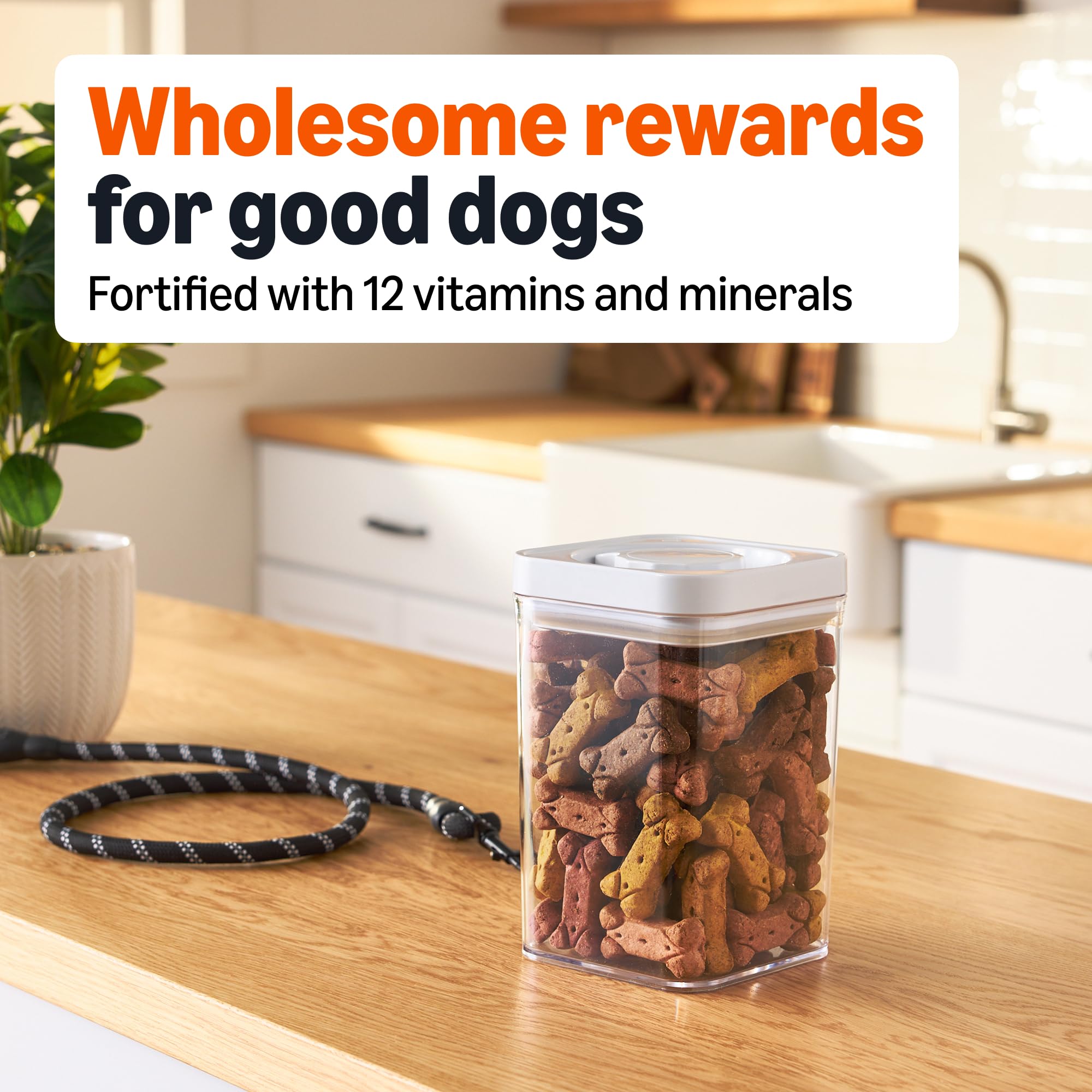 Amazon Basics biscuits chien vitamines et minéraux 12 nutriments essentiels