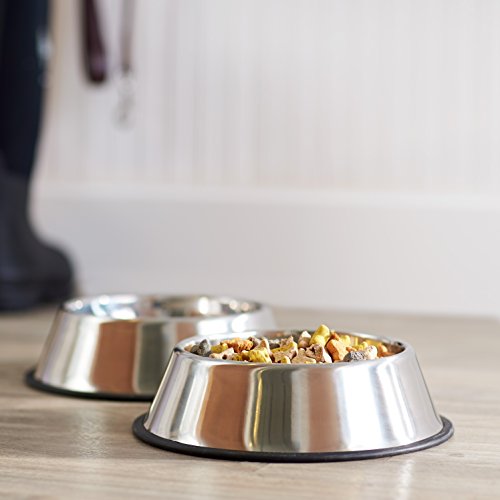 Bol en inox Amazon Basics adapté au quotidien et durable.