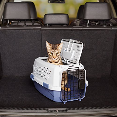 Amazon Basics transporteur – dimensions internes pour évaluer l’espace.