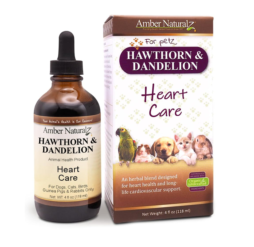 Amber NaturalZ - Bouteille ambrée 4oz, soutien potentiel au cœur pour animaux.