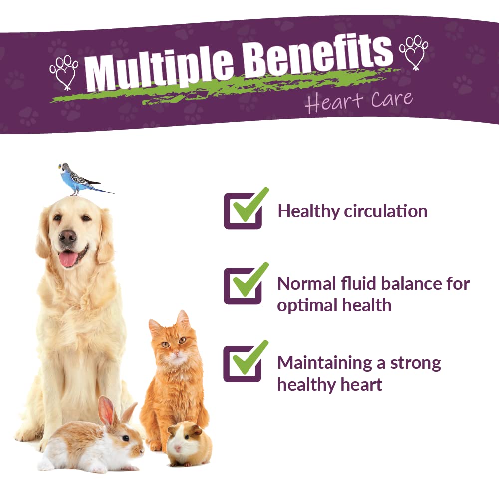 Amber NaturalZ - Gouttes-doseur, administration facile pour santé cardiovasculaire des animaux.