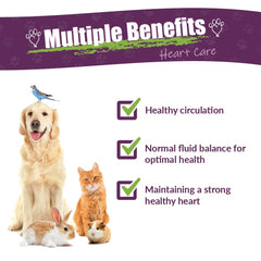 Amber NaturalZ - Gouttes-doseur, administration facile pour santé cardiovasculaire des animaux.