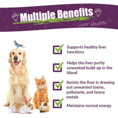 Amber NaturalZ Life Cell Support, pipette doseuse pour dosage précis chez vos animaux.