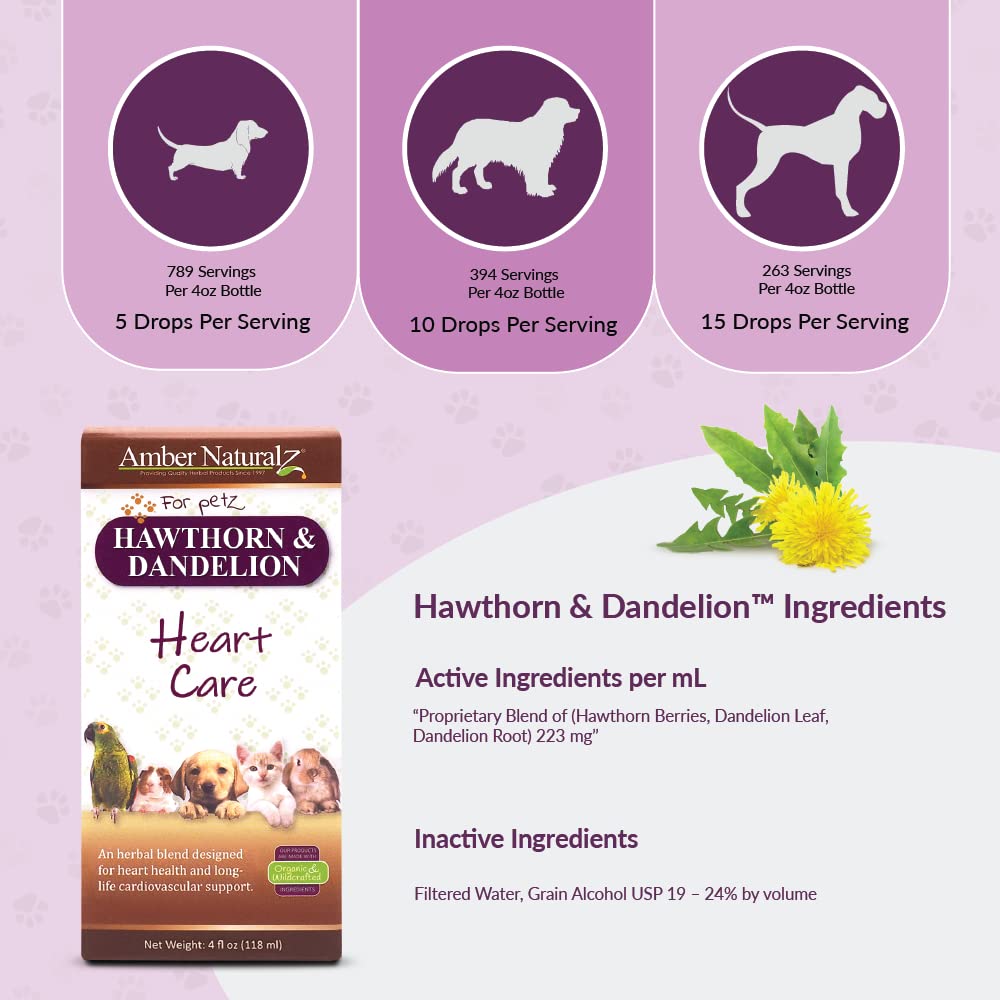 Amber NaturalZ - Mélange aubépine et pissenlit, bénéfices potentiels pour la circulation.