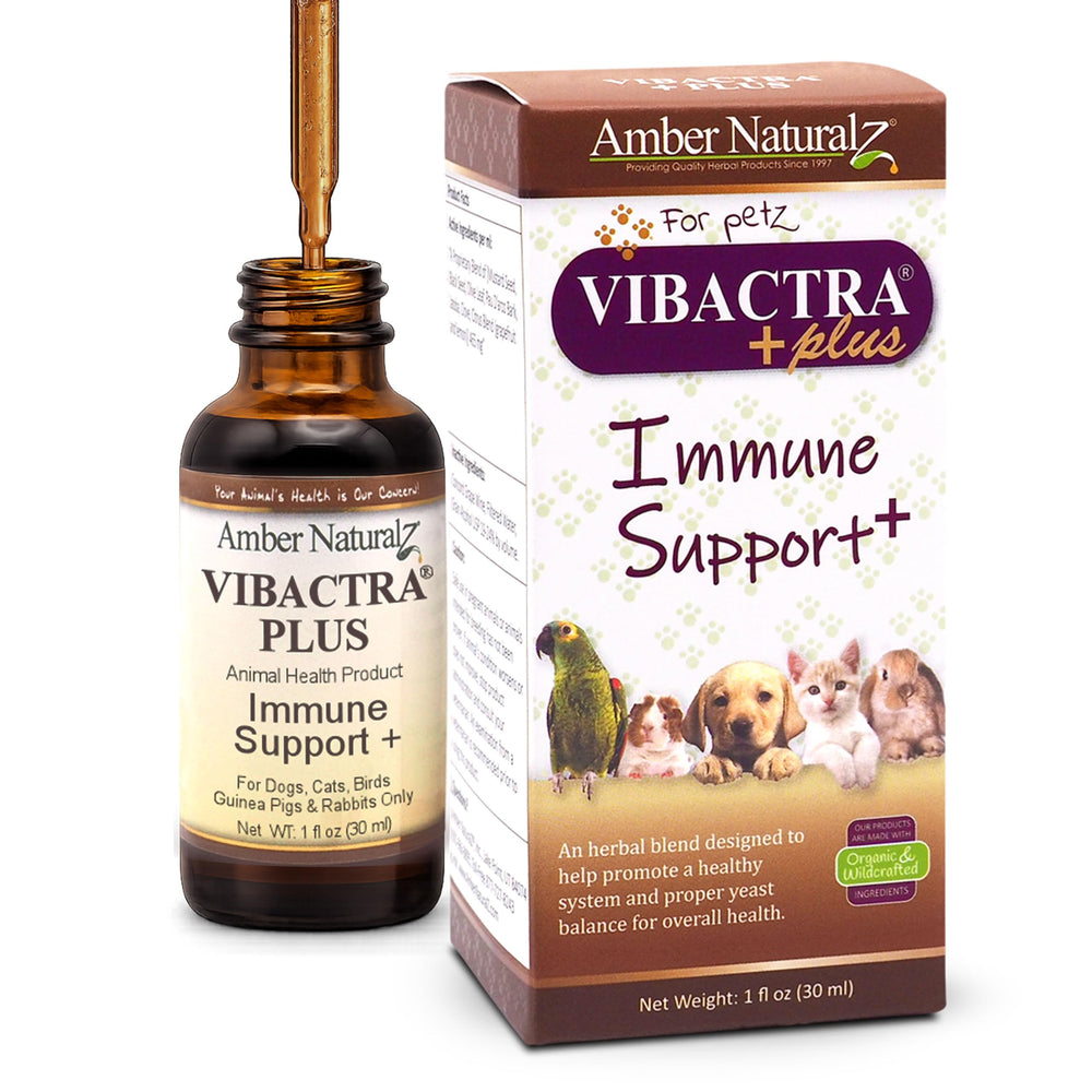 AMBER NATURALZ Vibactra Plus — bouteille en verre 1 oz prête pour animaux.