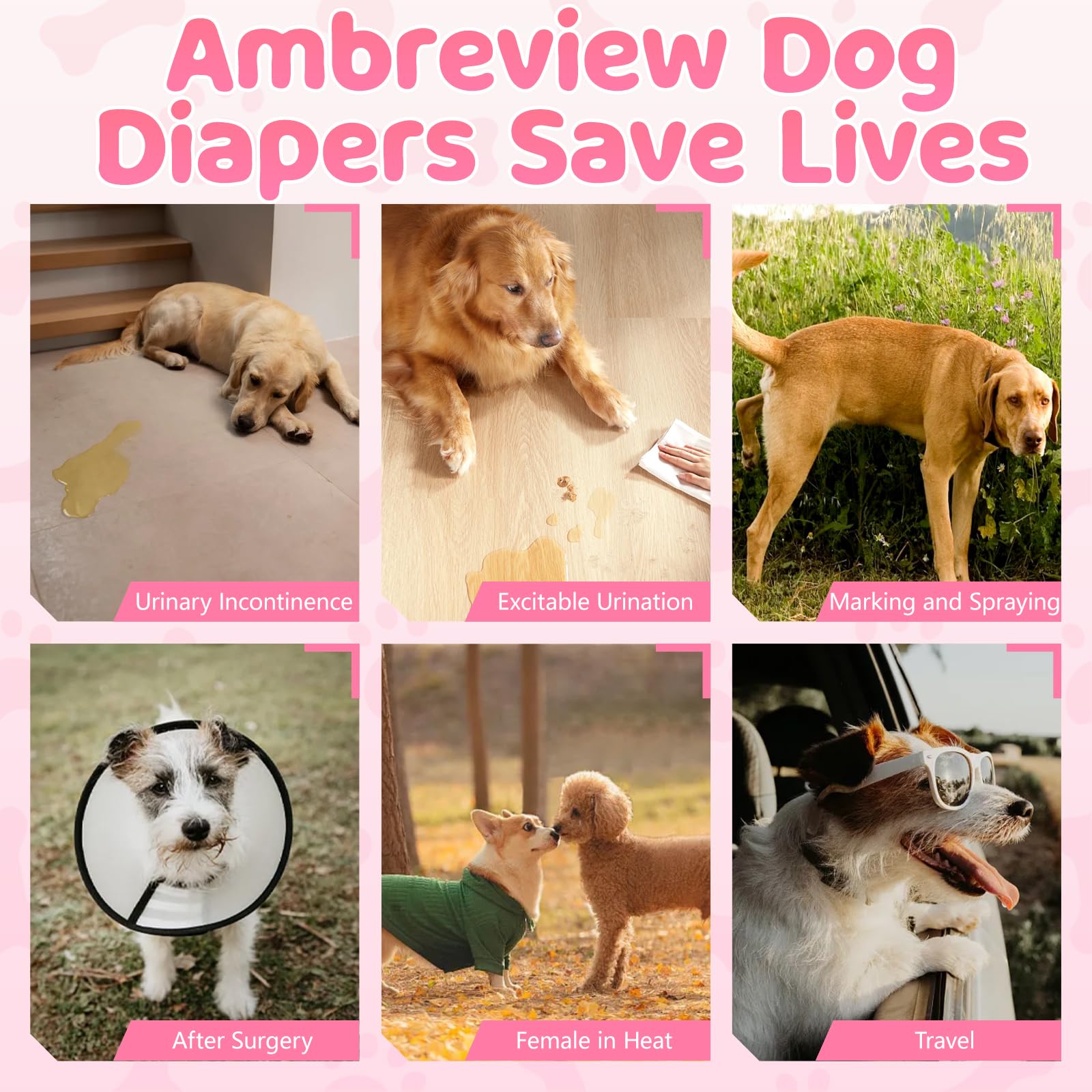 Ambreview couches-chiens-femelles-hygiene-domicile: hygiène facilitée pour l’entraînement.