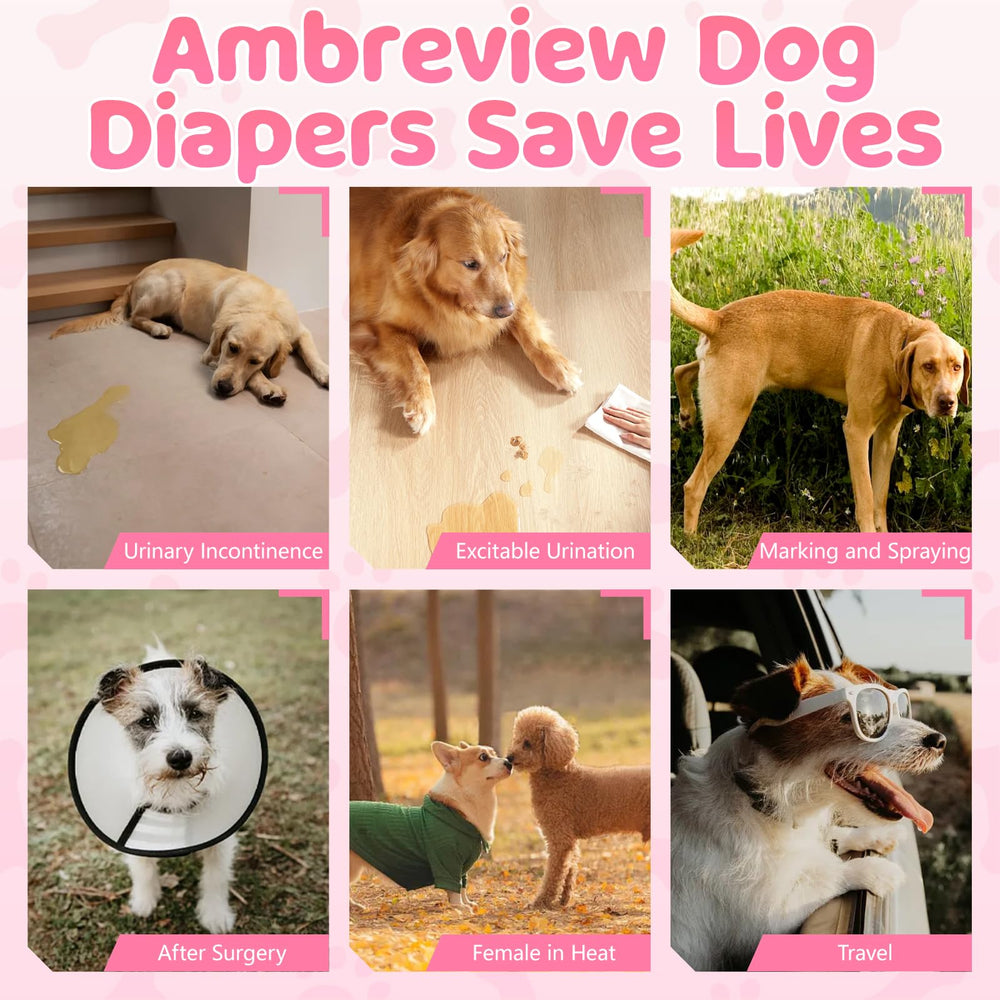 Ambreview couches-chiens-femelles-hygiene-domicile: hygiène facilitée pour l’entraînement.