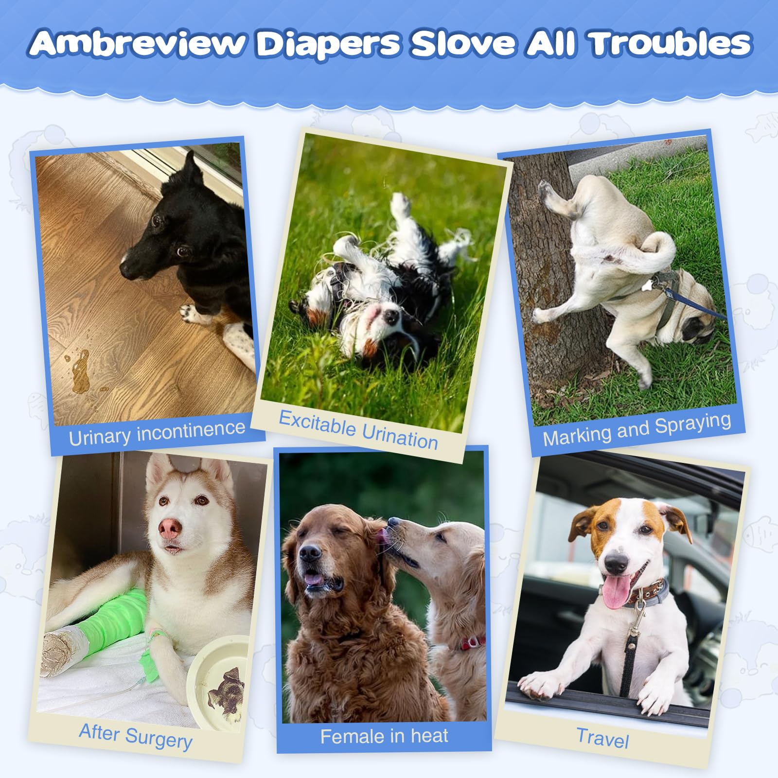 Ambreview Motifs mignons: motifs charmants pour un look agréable et discret.