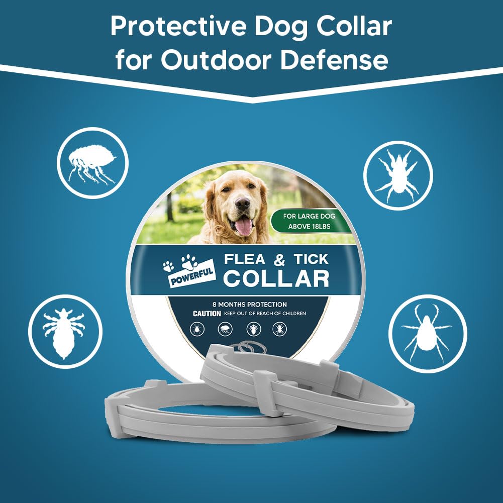 AMDEIUR collier-chien-grande-taille usage-quotidien offre une sécurité légère