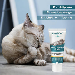 AmeizPet bocal pâte malt chat – solution pratique pour la routine quotidienne.