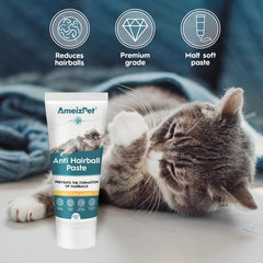 AmeizPet pâte malt chat – texture onctueuse facilitant l’administration orale.