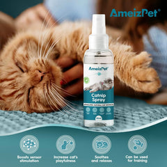 AmeizPet spray-excitation-chat-arome stimule l'envie de jouer chez votre chat.