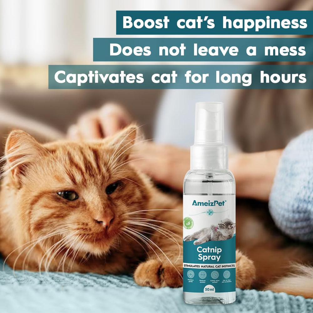 AmeizPet spray-renouvellement-jouets-chat ravive l'interet des jouets favoris.