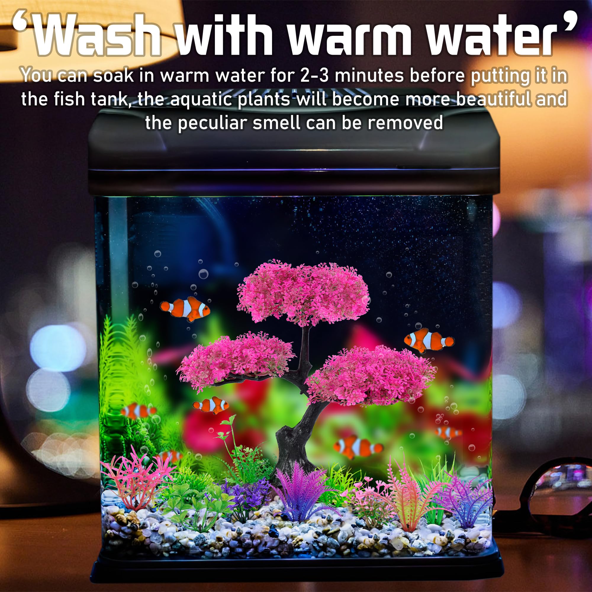 Ameliade base-ancre pour plante aquarium, fixation fiable sur gravier.
