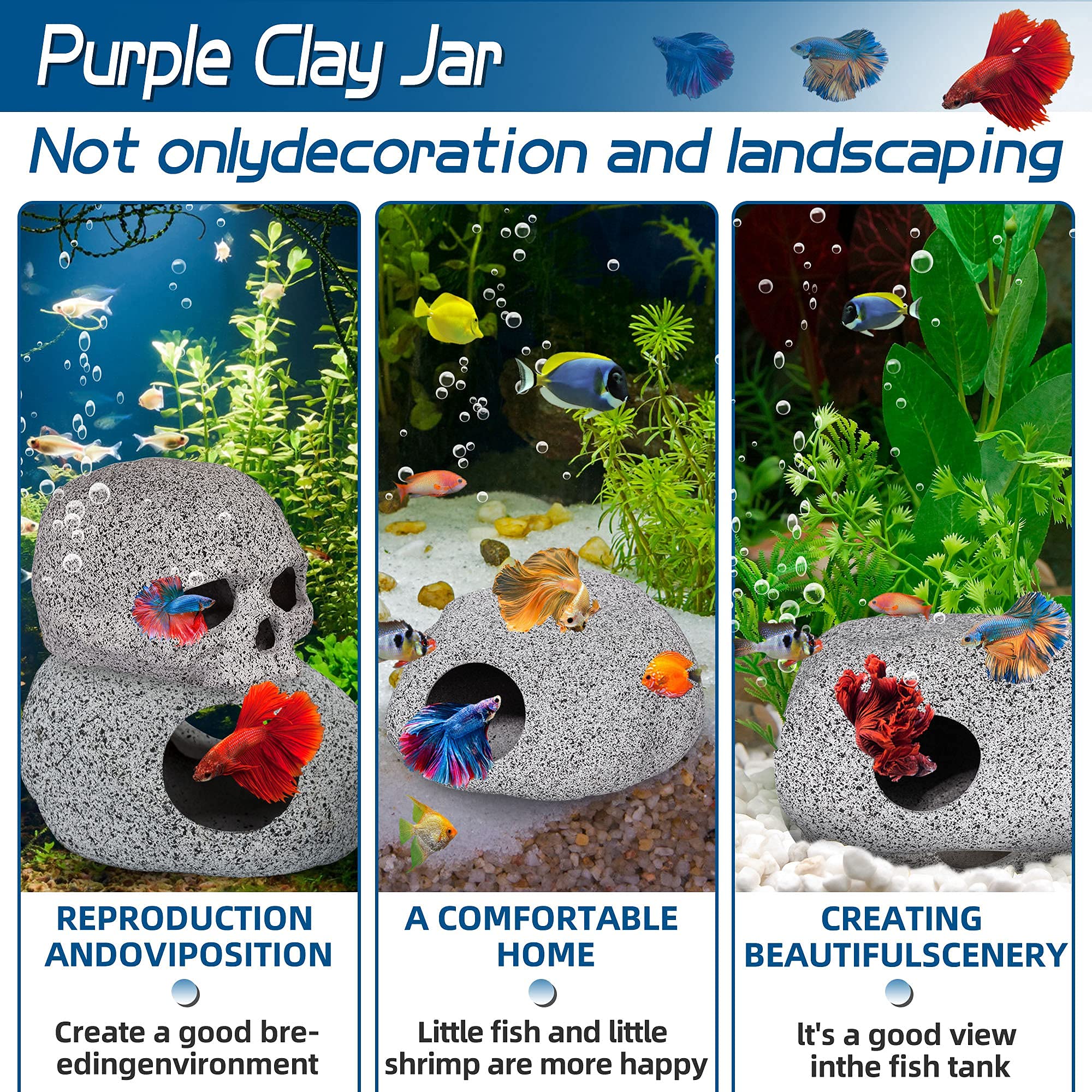 Grotte caverne Betta Ameliade – espace de repos et d’observation.