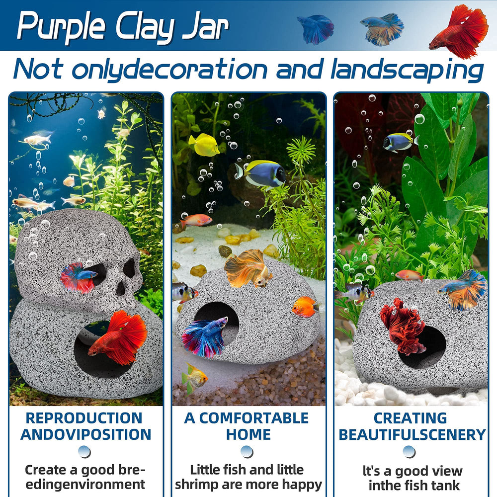 Grotte caverne Betta Ameliade – espace de repos et d’observation.