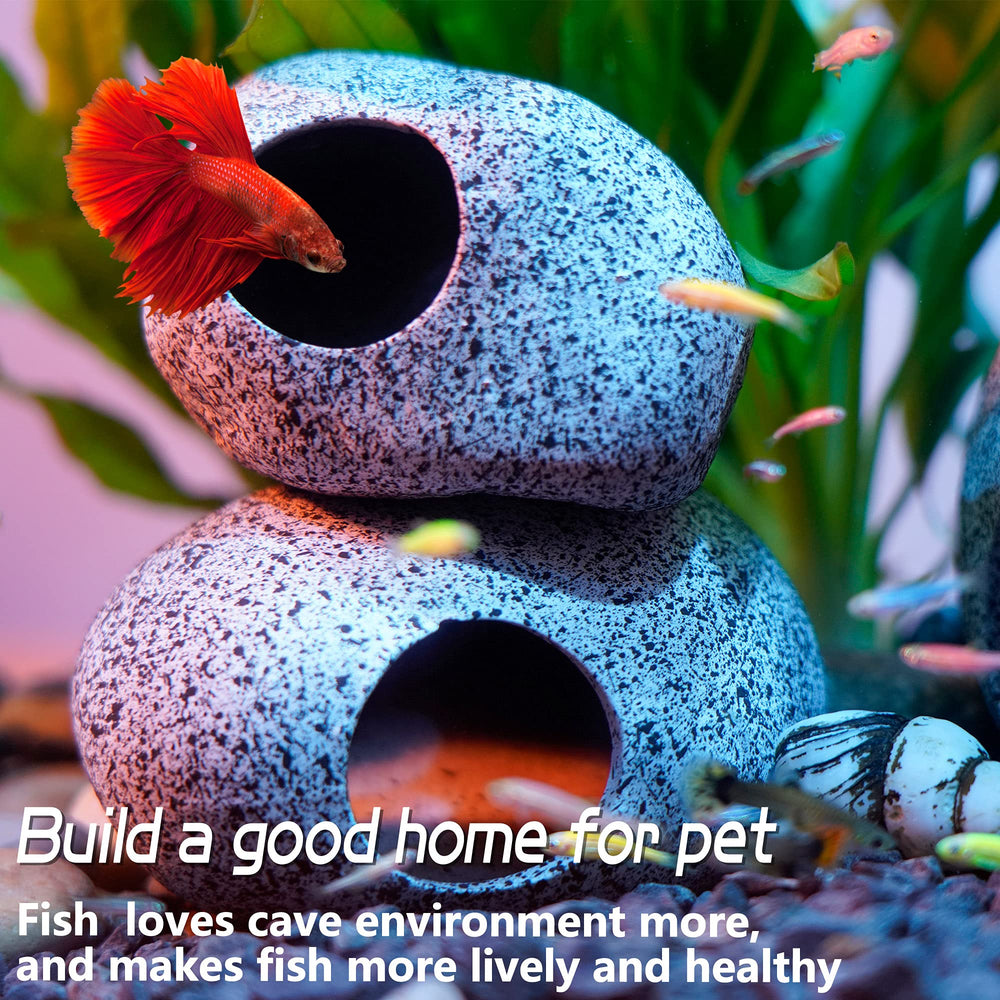 Habitat poissons Ameliade – refuge sûr pour cachettes et observation.